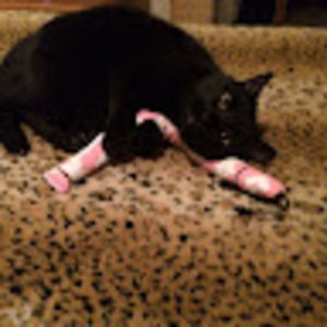 Meet your Posher, Jennifer